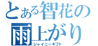 とある智花の雨上がりの花（シャイニーギフト）