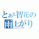 とある智花の雨上がりの花（シャイニーギフト）