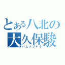 とある八北の大久保駿汰（ハムナプトラ）