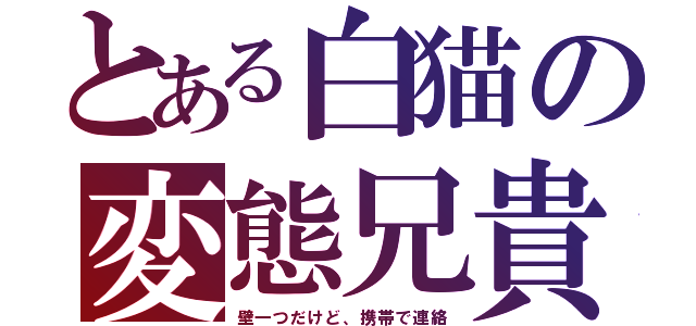 とある白猫の変態兄貴（壁一つだけど、携帯で連絡）