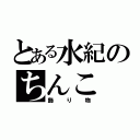 とある水紀のちんこ（飾り物）