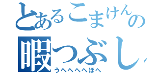 とあるこまけんの暇つぶし（うへへへへほへ）