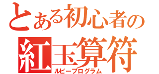 とある初心者の紅玉算符（ルビープログラム）