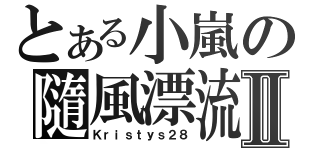 とある小嵐の隨風漂流Ⅱ（Ｋｒｉｓｔｙｓ２８）