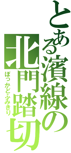 とある濱線の北門踏切（ぼっかどふみきり）