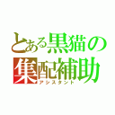 とある黒猫の集配補助（アシスタント）