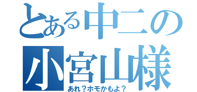 とある中二の小宮山様（あれ？ホモかもよ？）