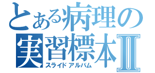 とある病理の実習標本Ⅱ（スライドアルバム）