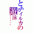 とあるイルカの遊泳（ガチスイム）