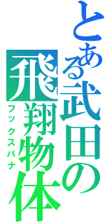 とある武田の飛翔物体（フックスパナ）