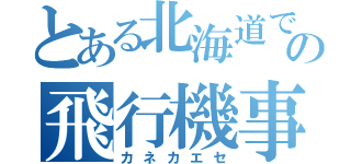 とある北海道での飛行機事件（カネカエセ）