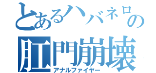 とあるハバネロの肛門崩壊（アナルファイヤー）