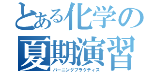 とある化学の夏期演習（バーニングプラクティス）