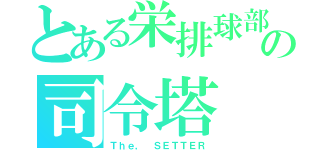 とある栄排球部の司令塔（Ｔｈｅ， ＳＥＴＴＥＲ）