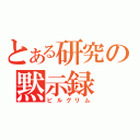 とある研究の黙示録（ピルグリム）