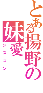 とある揚野の妹愛（シスコン）