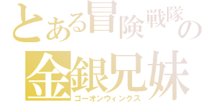 とある冒険戦隊の金銀兄妹（ゴーオンウィングス）