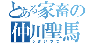 とある家畜の仲川聖馬（うざいやつ）