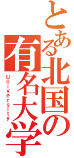 とある北国の有名大学（Ｕｎｉｖｅｒｓｉｔｙ）