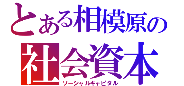 とある相模原の社会資本（ソーシャルキャピタル）