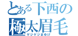 とある下西の極太眉毛（ゲジゲジまゆげ）