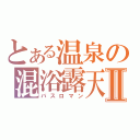 とある温泉の混浴露天Ⅱ（バスロマン）