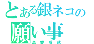 とある銀ネコの願い事（恋愛成就）