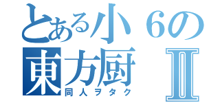 とある小６の東方厨Ⅱ（同人ヲタク）