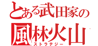 とある武田家の風林火山（ストラテジー）