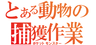 とある動物の捕獲作業（ポケットモンスター）