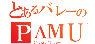 とあるバレーのＰＡＭＵ（（´；ω；｀）ウッ…）