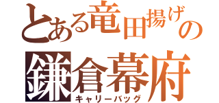 とある竜田揚げの鎌倉幕府（キャリーバッグ）