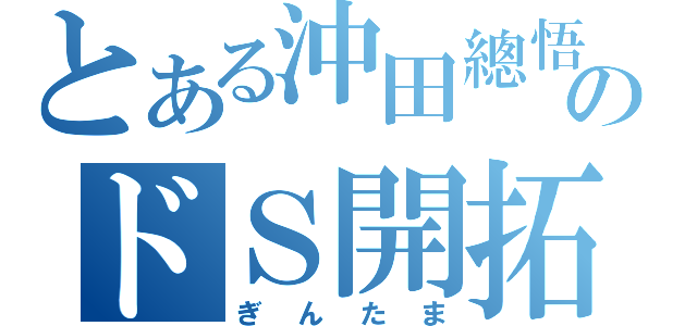 とある沖田總悟のドＳ開拓史（ぎんたま）