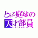 とある庭球の天才部員（イトウヒカル）