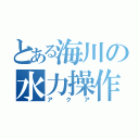 とある海川の水力操作（アクア）