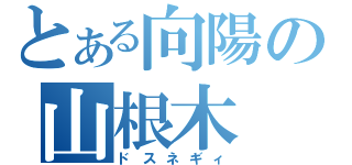 とある向陽の山根木（ドスネギィ）