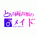 とある両声類の♂メイド（アンダーグラウンド）