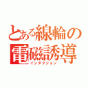 とある線輪の電磁誘導（インダクション）