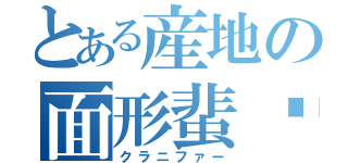 とある産地の面形蜚蠊（クラニファー）