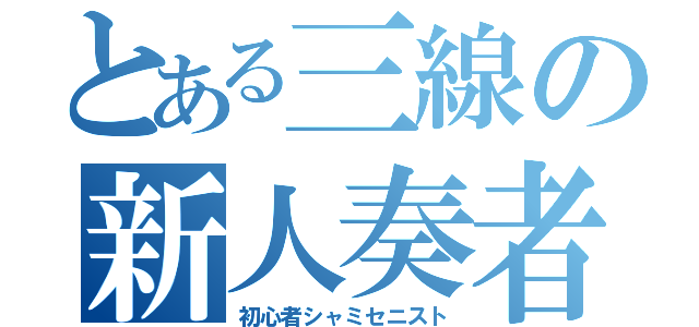 とある三線の新人奏者（初心者シャミセニスト）