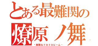 とある最難関の燎原ノ舞（〜危険なドカドカビーム〜）