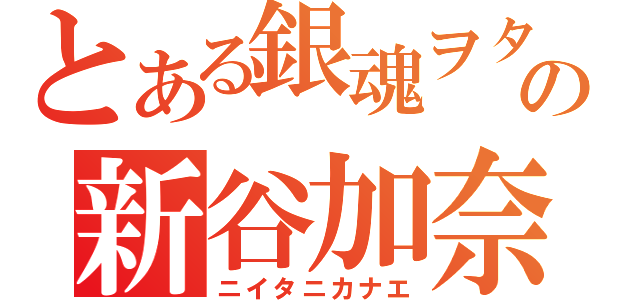 とある銀魂ヲタクの新谷加奈恵（ニイタニカナエ）