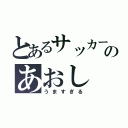 とあるサッカーのあおし（うますぎる）