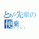 とある先輩の便乗（そうだよ）