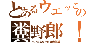 とあるウエッこの糞野郎！（ウンコだらけの公衆便所）