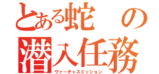 とある蛇の潜入任務（ヴァーチャスミッション）