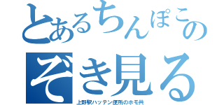 とあるちんぽこのぞき見る（上野駅ハッテン便所のホモ共）