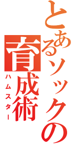 とあるソックの育成術（ハムスター）