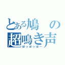 とある鳩の超鳴き声（ぽっぽっぽー）