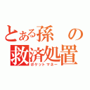 とある孫の救済処置（ポケットマネー）